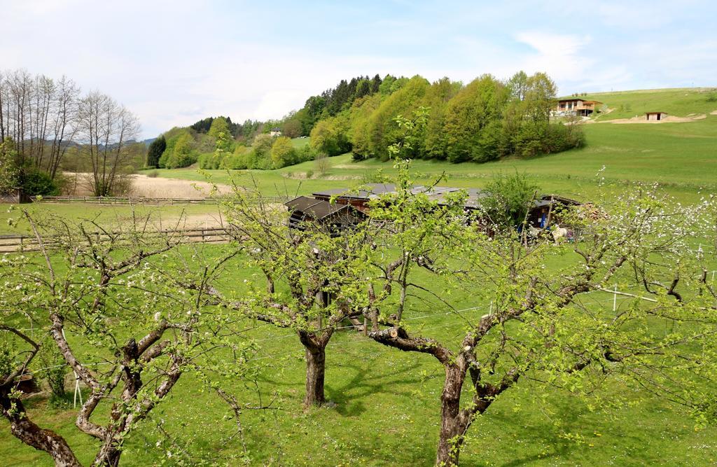 Familienparadies Reichenhauser Keutschach am See Zewnętrze zdjęcie